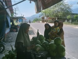 Jelang Berbuka Puasa, Warga Aceh Selatan Ramai-ramai Berburu Kelapa Padan Wangi Asal Thailan