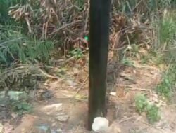 Diduga Mark Up, Proyek Lampu Jalan Rp249 Juta di Tangerang Disorot Warga