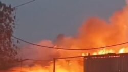 Tangerang Raya Membara! Lahan Ciater dan Pabrik Mebel Cihuni Terbakar dalam Sehari